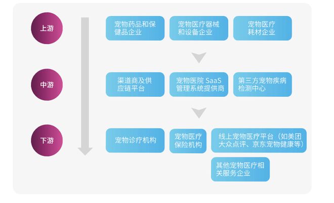 中獸醫如何撬動百億消費醫療市場 獸醫器具的創新與機遇