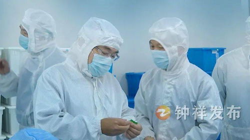 周軍帶隊(duì)赴南昌、上海開展精準(zhǔn)招商考察 聚焦產(chǎn)業(yè)升級(jí)與項(xiàng)目合作