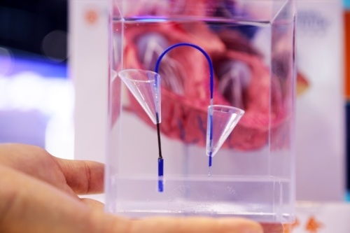 2023年憲法宣傳周 法治文化主題普法宣傳活動(dòng)啟動(dòng)，聚焦獸醫(yī)醫(yī)療器械領(lǐng)域